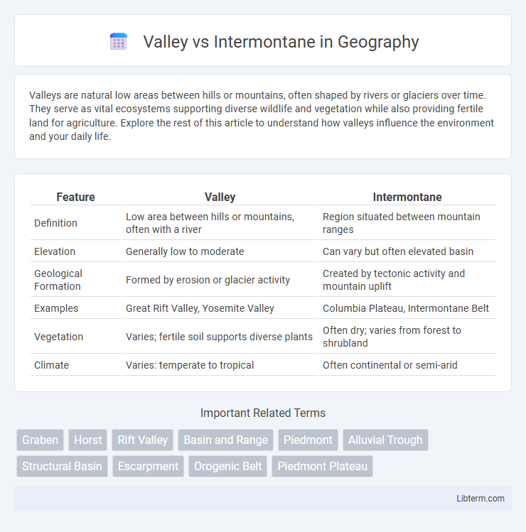 Intermontane vs Valley in Geography - What is The Difference?