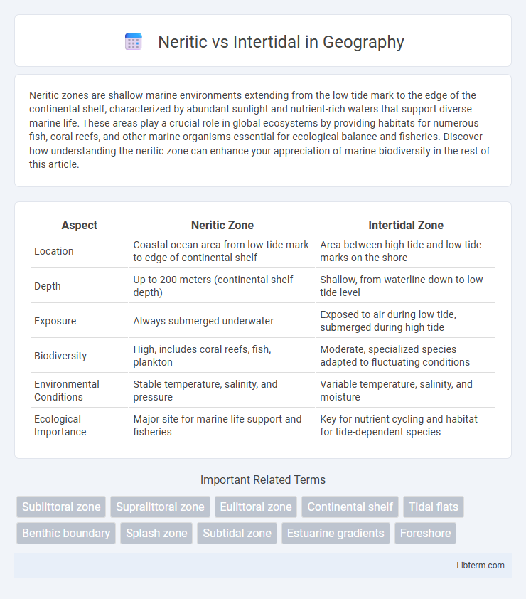 Intertidal vs Neritic in Geography - What is The Difference?