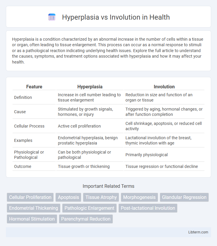 Involution vs Hyperplasia in Health - What is The Difference?