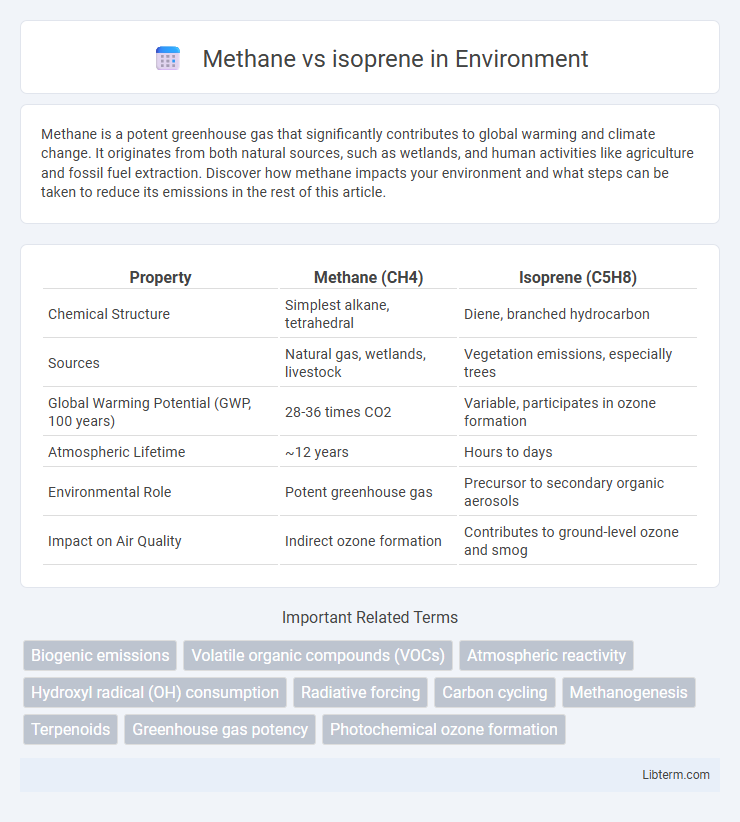 isoprene vs Methane in Environment - What is The Difference?