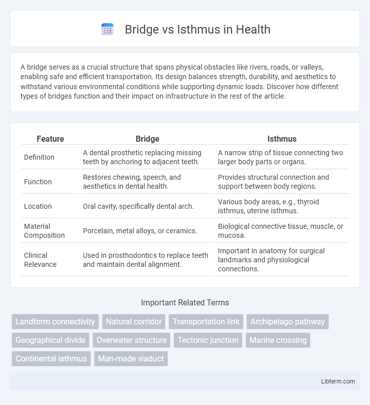 Isthmus vs Bridge in Health - What is The Difference?