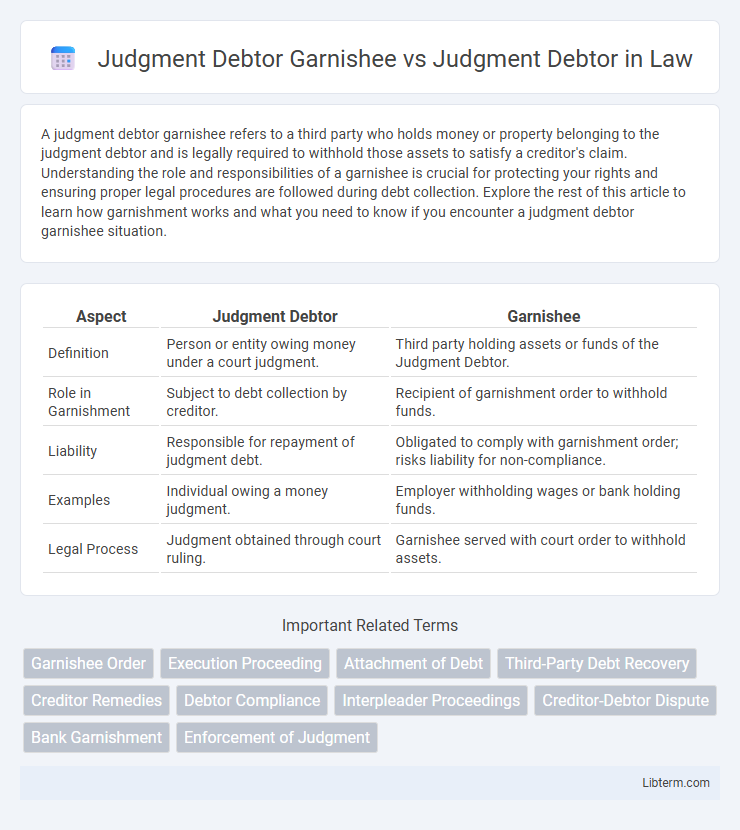 Judgment Debtor vs Judgment Debtor Garnishee in Law - What is The Difference?