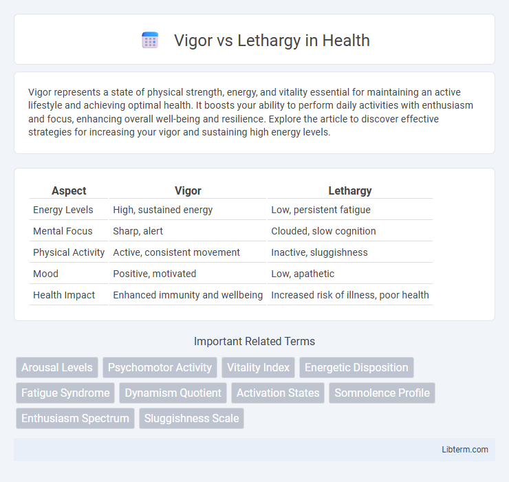 Lethargy vs Vigor in Health - What is The Difference?