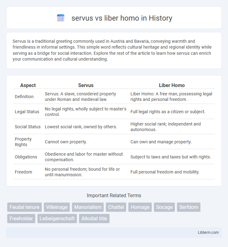 liber homo vs servus in History - What is The Difference?