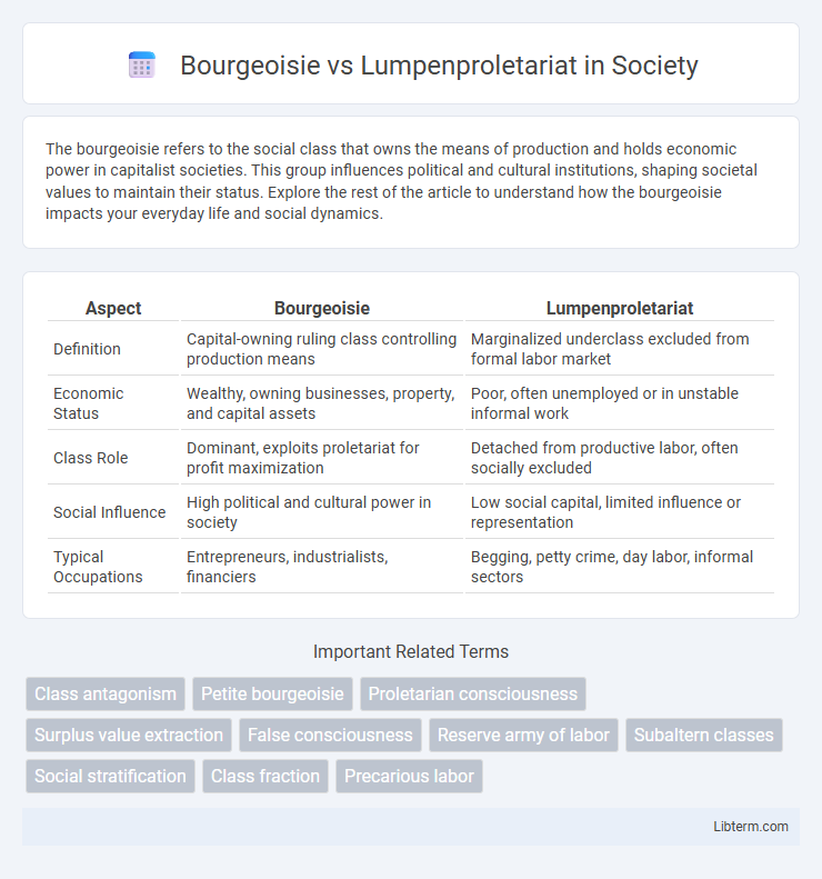 Lumpenproletariat vs Bourgeoisie in Society - What is The Difference?