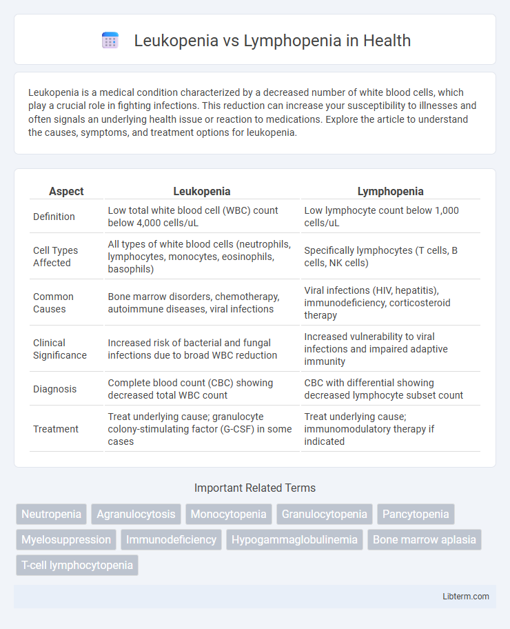 Lymphopenia vs Leukopenia in Health - What is The Difference?