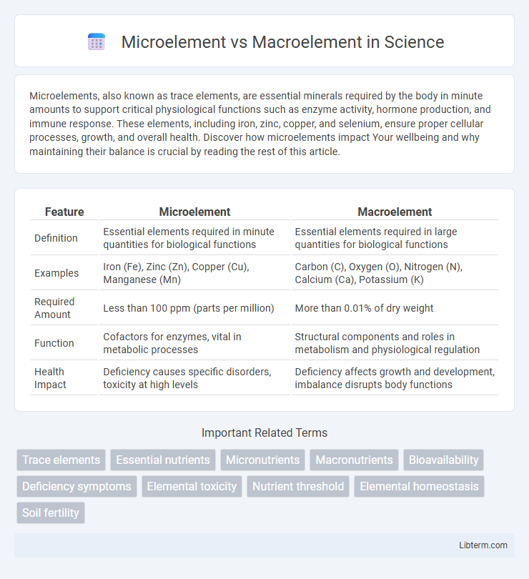 Macroelement vs Microelement in Science - What is The Difference?