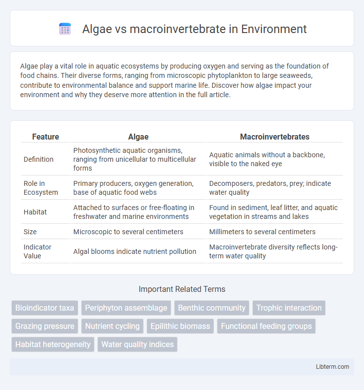 macroinvertebrate vs Algae in Environment - What is The Difference?
