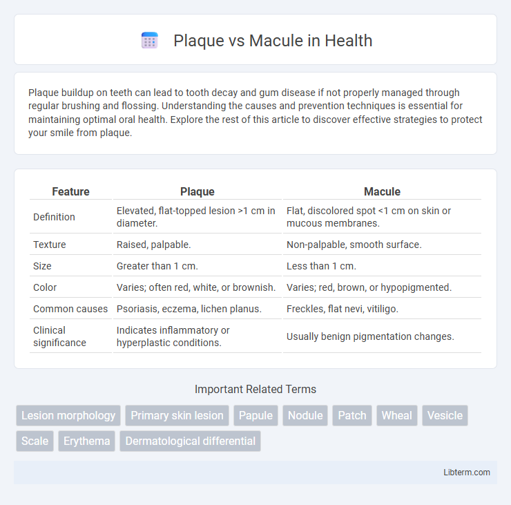 Macule vs Plaque in Health - What is The Difference?