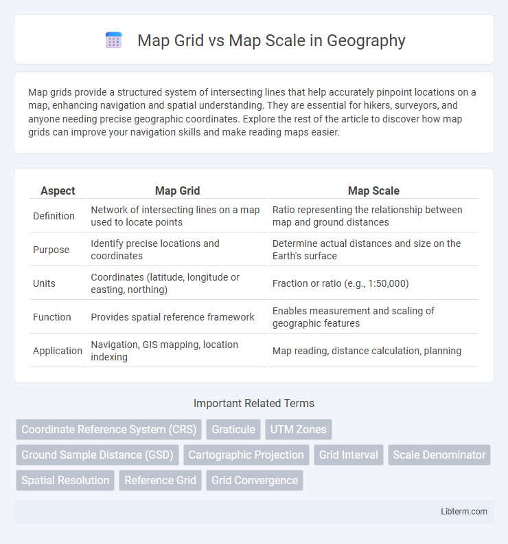 Map Scale vs Map Grid in Geography - What is The Difference?