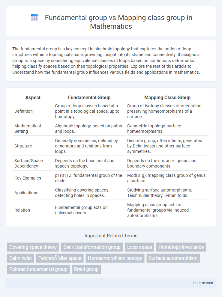 Mapping class group vs Fundamental group in Mathematics - What is The Difference?