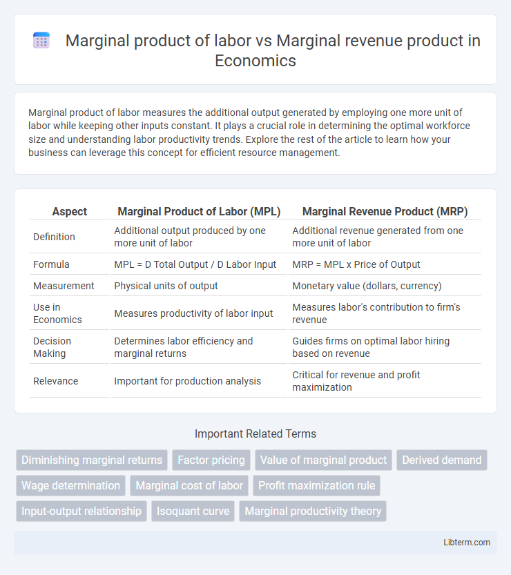 Marginal revenue product vs Marginal product of labor in Economics - What is The Difference?