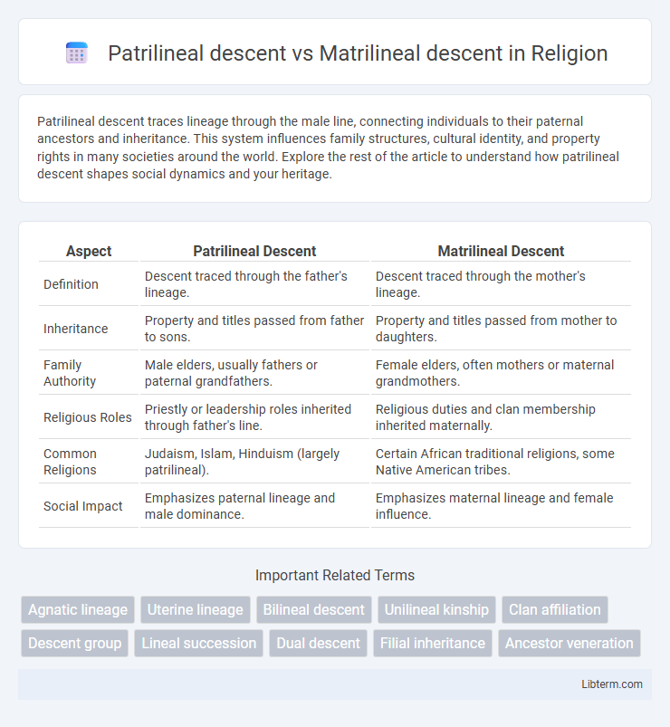Matrilineal descent vs Patrilineal descent in Religion - What is The Difference?