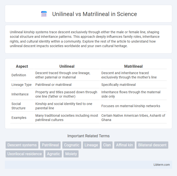 Matrilineal vs Unilineal in Science - What is The Difference?