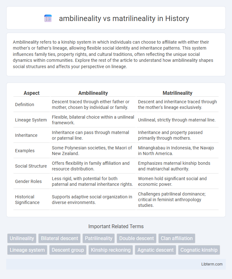 matrilineality vs ambilineality in History - What is The Difference?