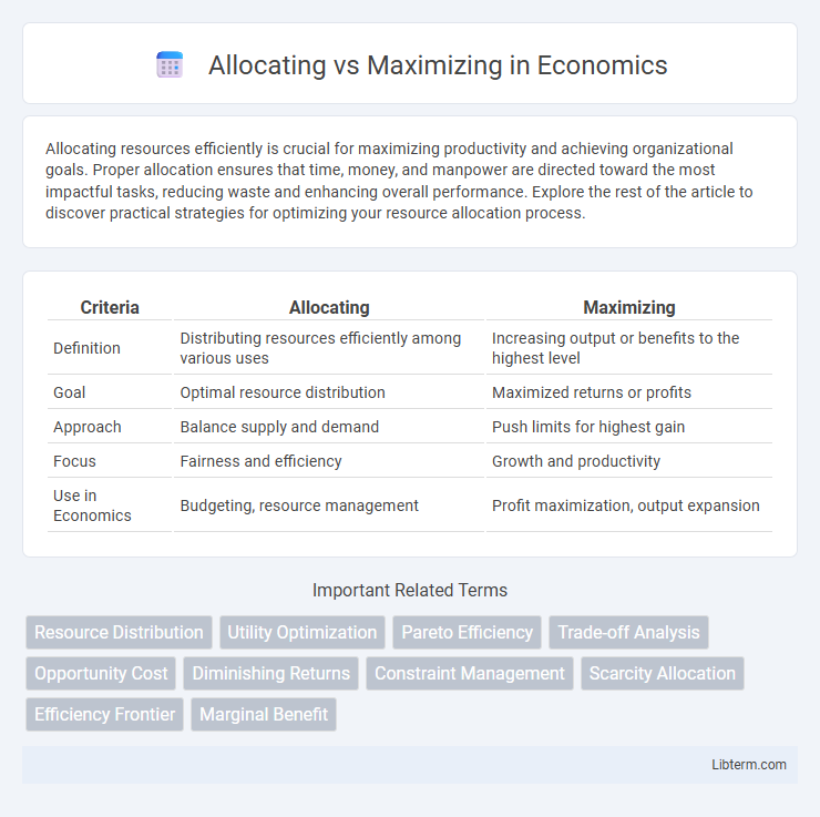 Maximizing vs Allocating in Economics - What is The Difference?