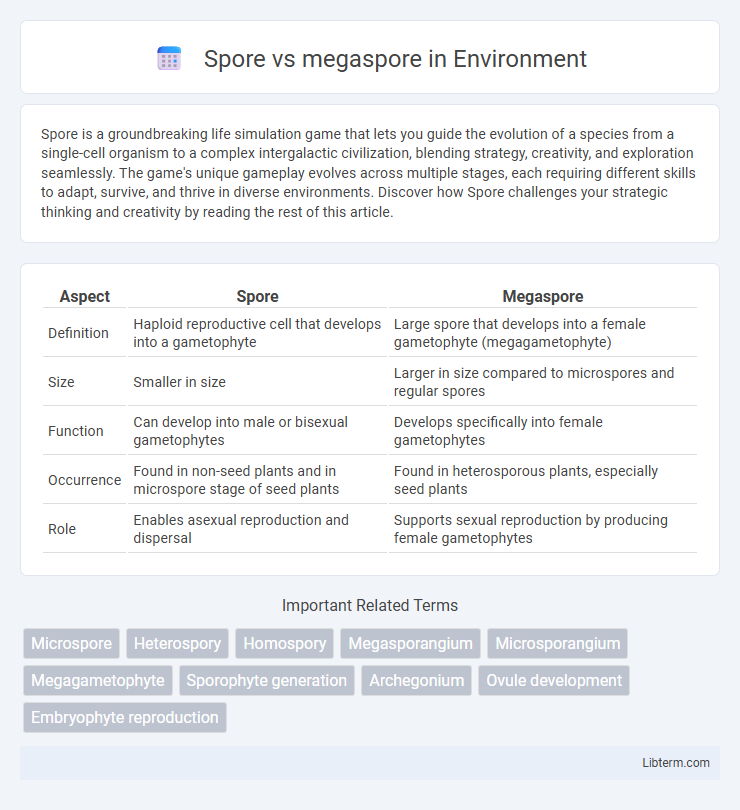 megaspore vs Spore in Environment - What is The Difference?