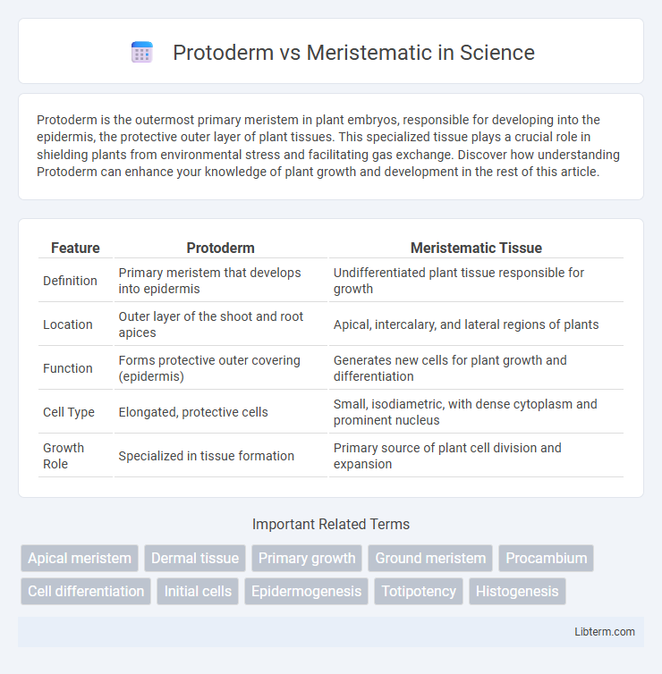 Meristematic vs Protoderm in Science - What is The Difference?