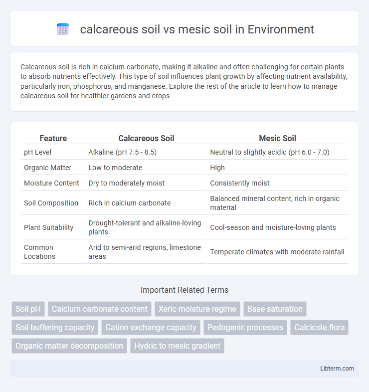 mesic soil vs calcareous soil in Environment - What is The Difference?