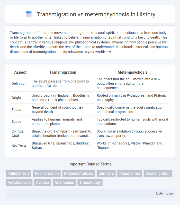 metempsychosis vs Transmigration in History - What is The Difference?