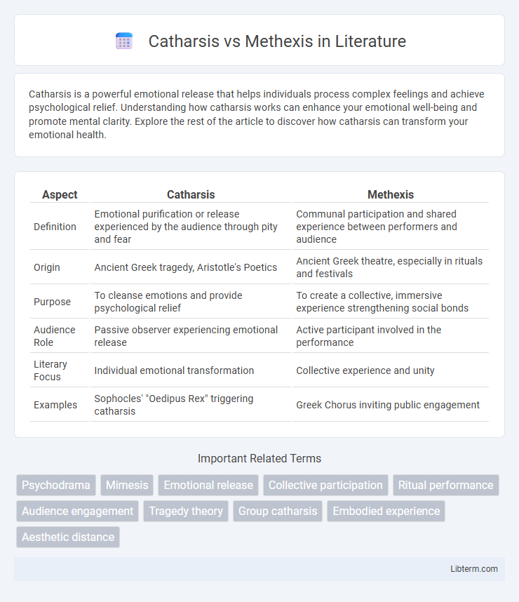 Methexis vs Catharsis in Literature - What is The Difference?