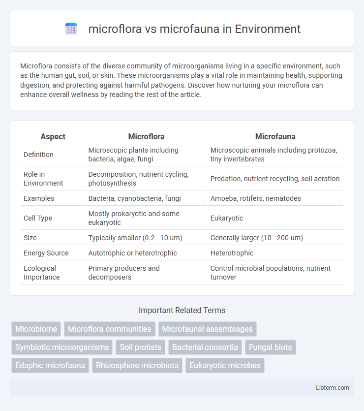 microfauna vs microflora in Environment - What is The Difference?