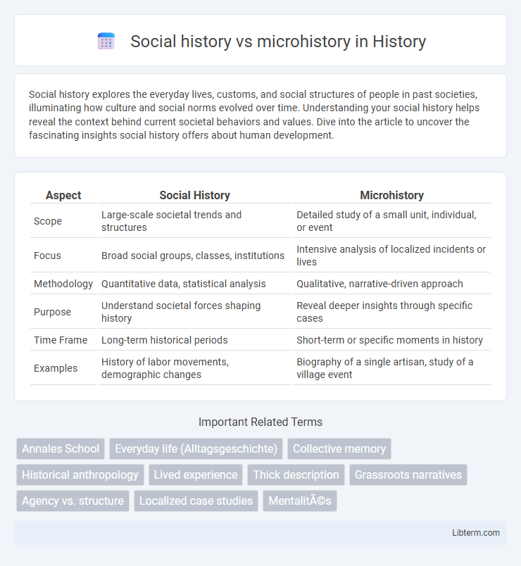 microhistory vs Social history in History - What is The Difference?