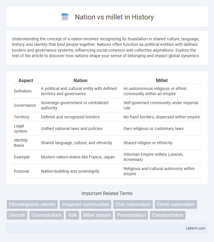 millet vs Nation in History - What is The Difference?