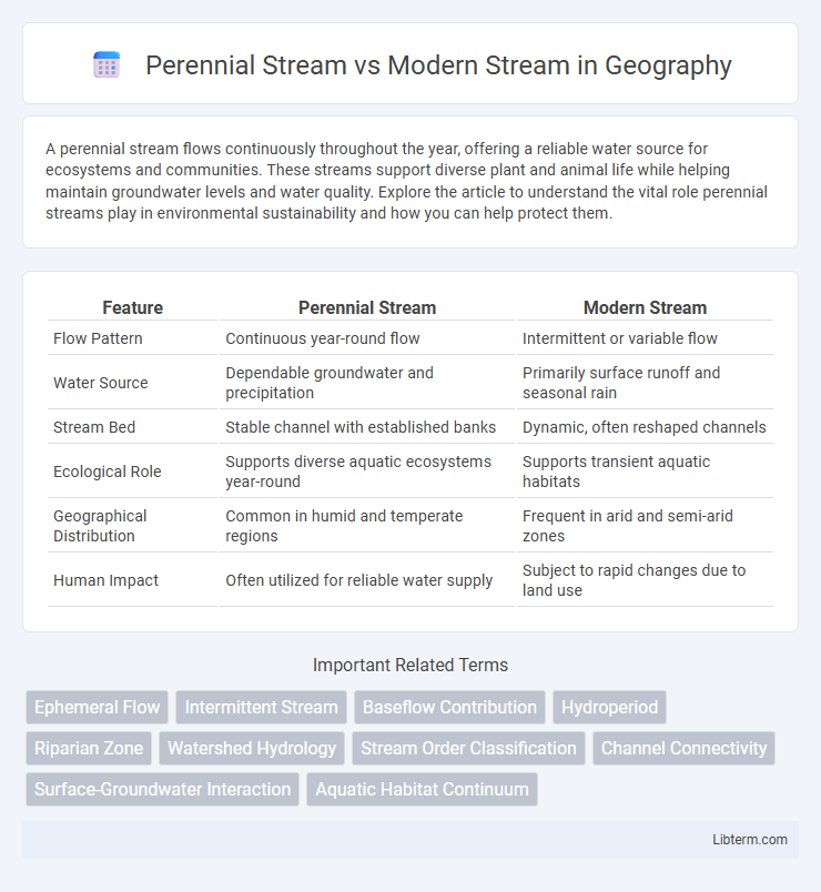 Modern Stream vs Perennial Stream in Geography - What is The Difference?