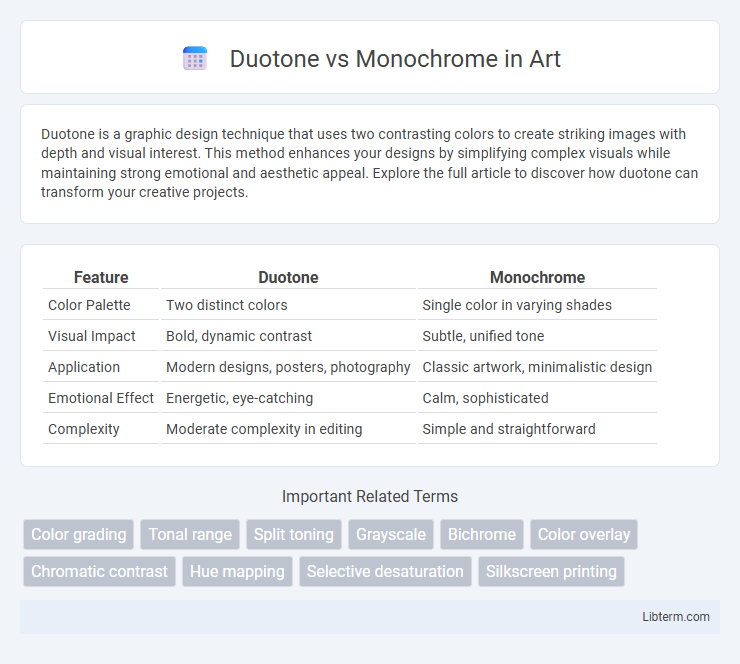 Monochrome vs Duotone in Art - What is The Difference?