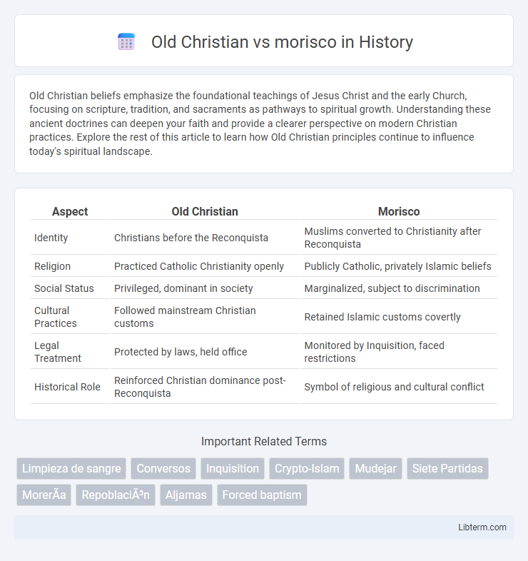 morisco vs Old Christian in History - What is The Difference?