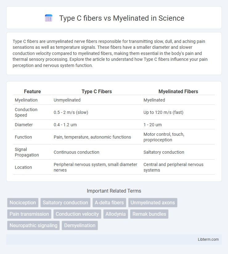 Myelinated vs Type C fibers in Science - What is The Difference?