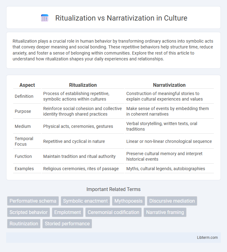 Narrativization vs Ritualization in Culture - What is The Difference?