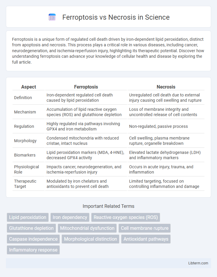 Necrosis vs Ferroptosis in Science - What is The Difference?