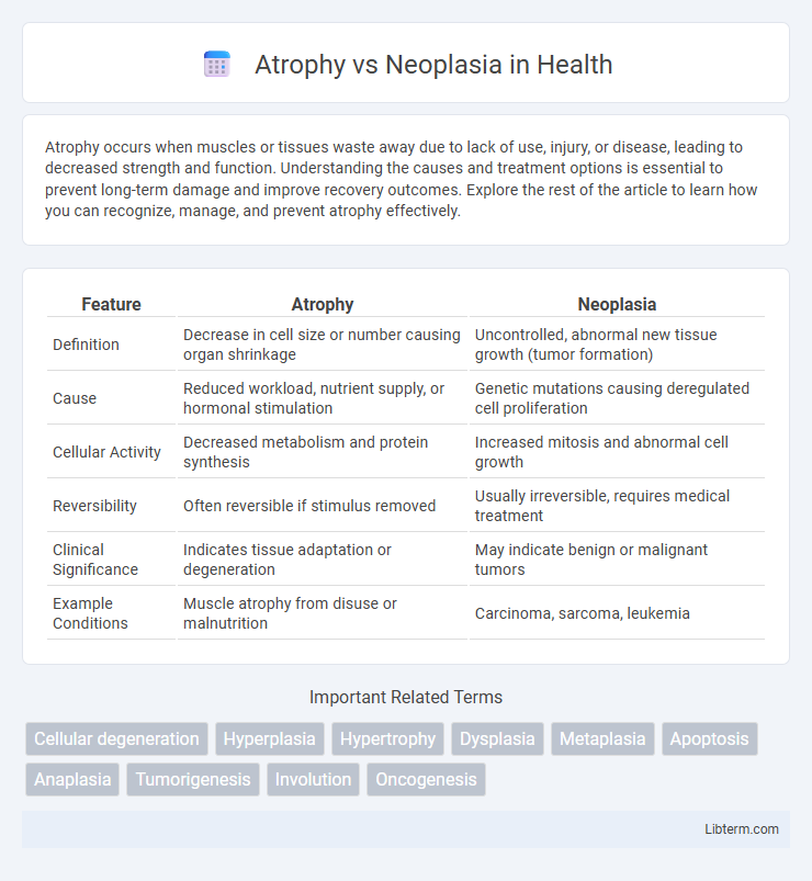 Neoplasia vs Atrophy in Health - What is The Difference?