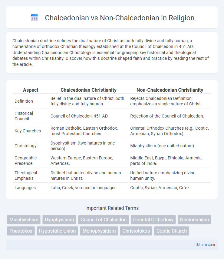 Non-Chalcedonian vs Chalcedonian in Religion - What is The Difference?