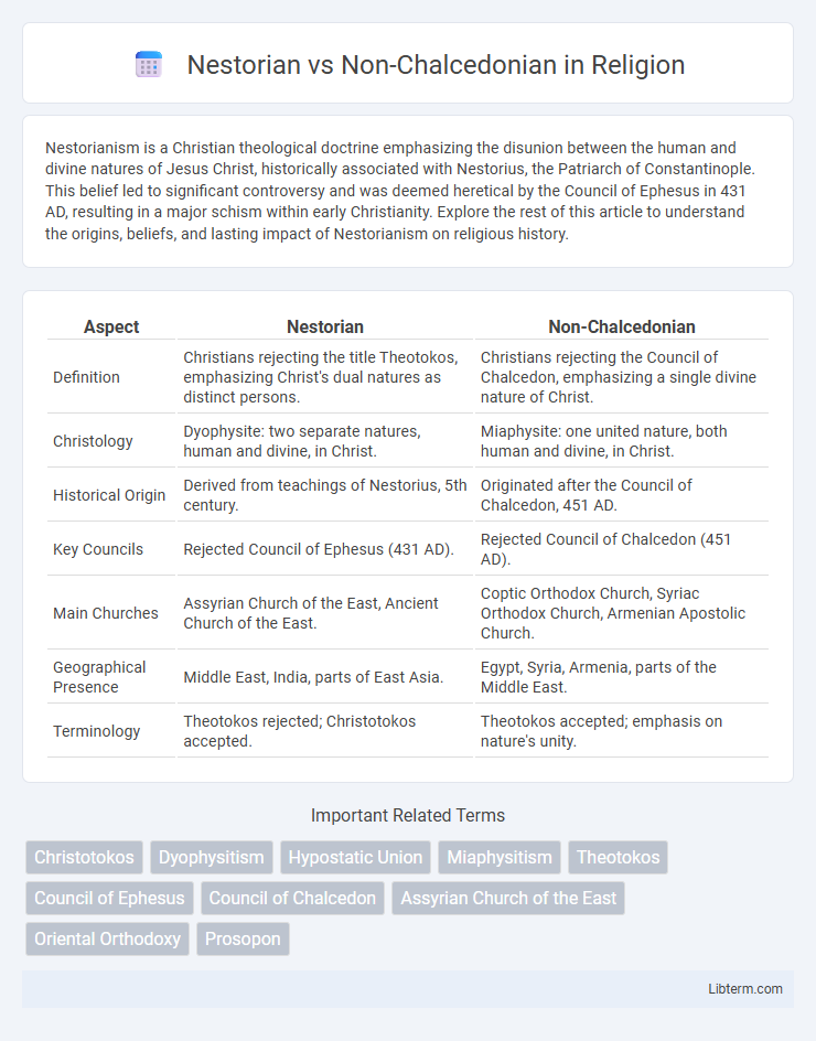 Non-Chalcedonian vs Nestorian in Religion - What is The Difference?