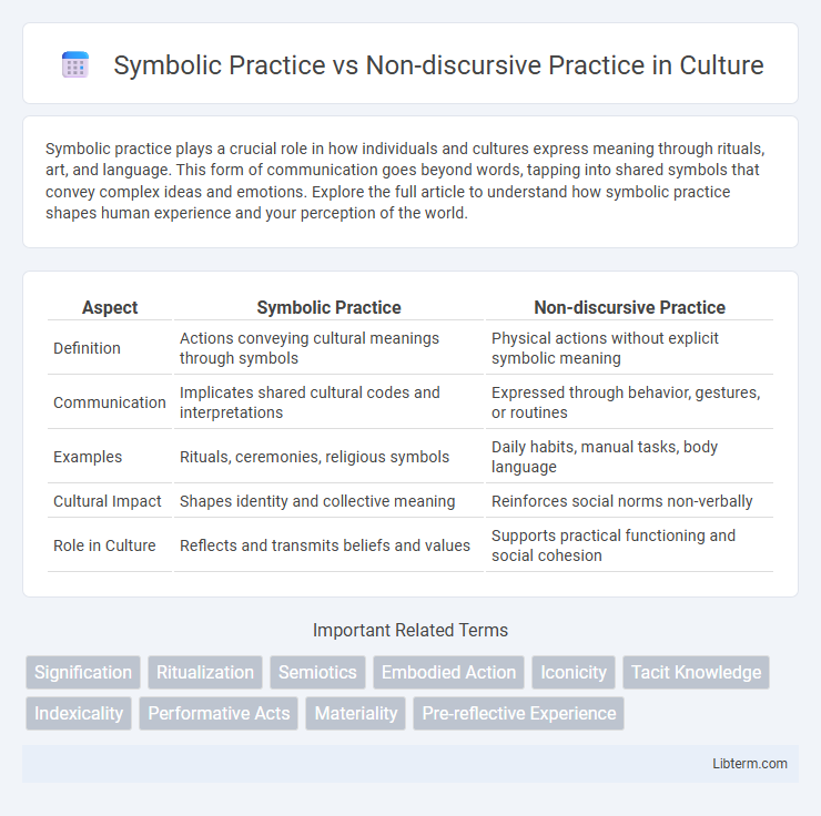 Non-discursive Practice vs Symbolic Practice in Culture - What is The Difference?