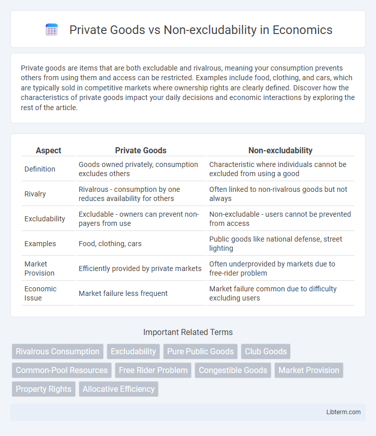 Non-excludability vs Private Goods in Economics - What is The Difference?