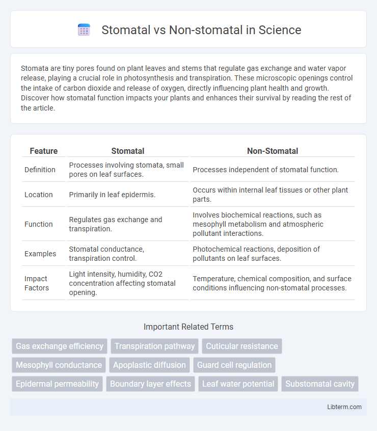 Non-stomatal vs Stomatal in Science - What is The Difference?