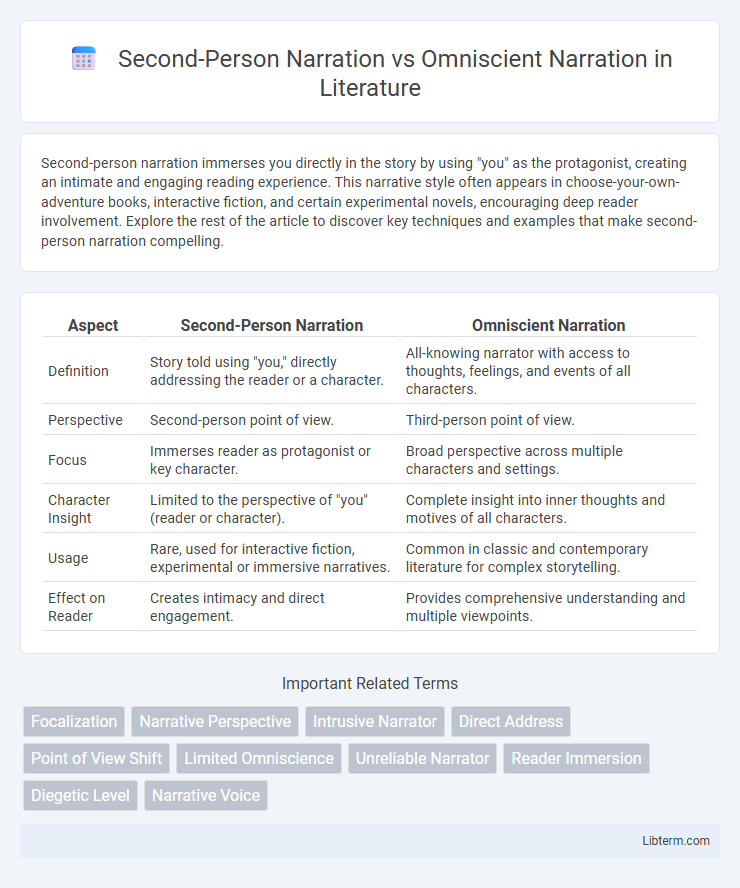 Omniscient Narration vs Second-Person Narration in Literature - What is The Difference?