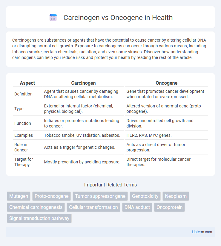 Oncogene vs Carcinogen in Health - What is The Difference?