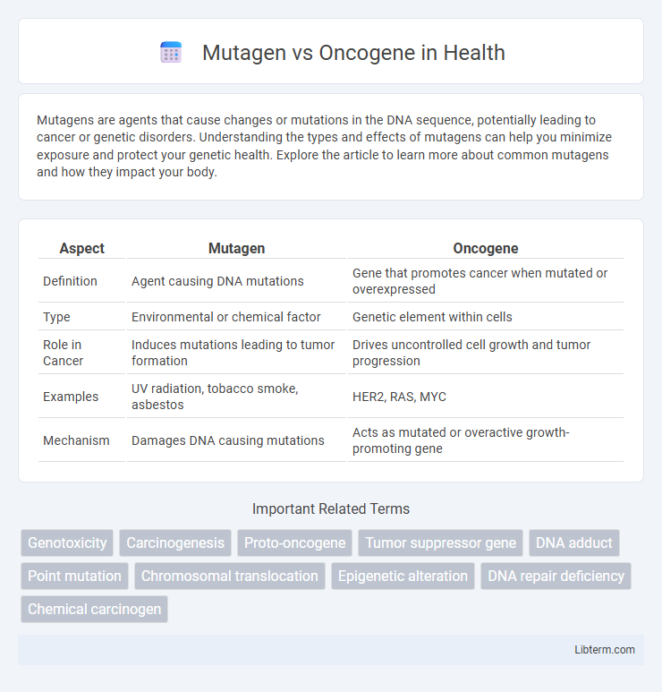 Oncogene vs Mutagen in Health - What is The Difference?