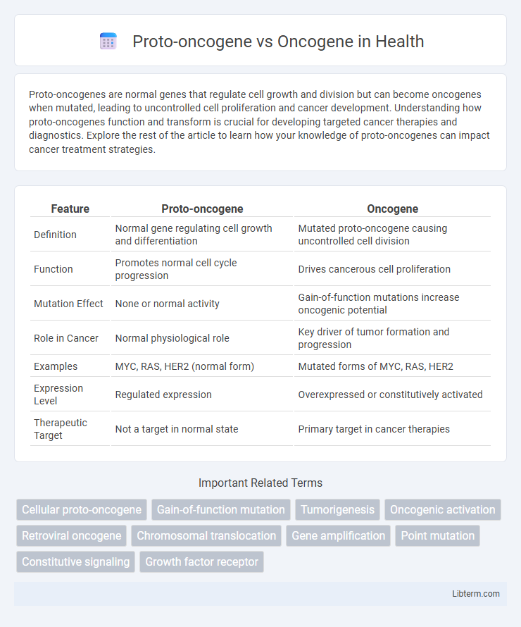 Oncogene vs Proto-oncogene in Health - What is The Difference?