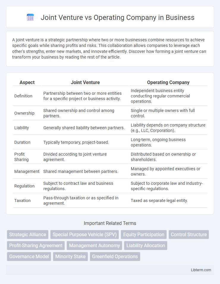 Operating Company vs Joint Venture in Business - What is The Difference?