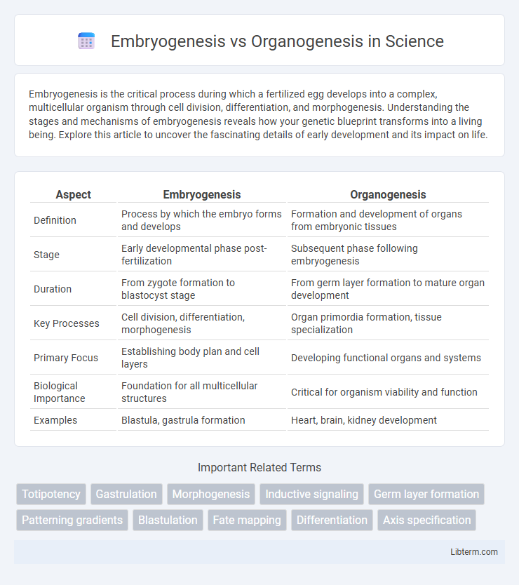 Organogenesis vs Embryogenesis in Science - What is The Difference?