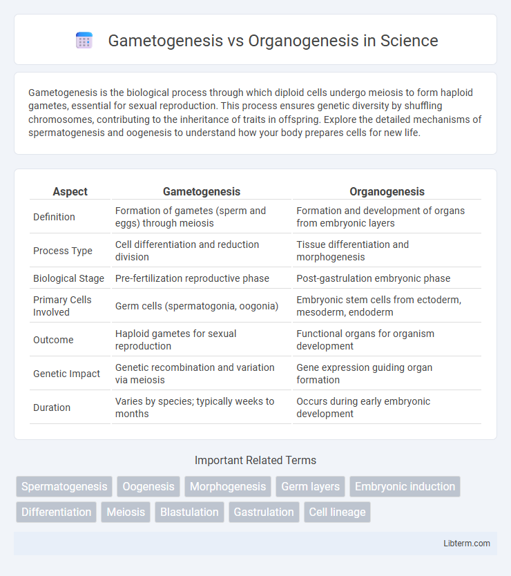 Organogenesis vs Gametogenesis in Science - What is The Difference?