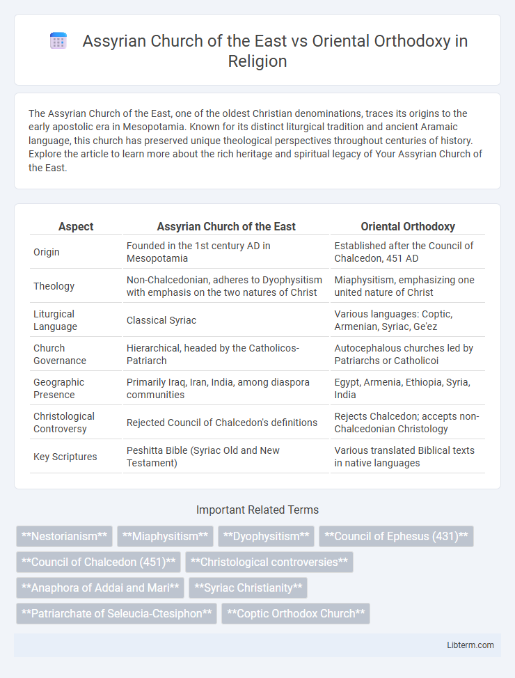 Oriental Orthodoxy vs Assyrian Church of the East in Religion - What is The Difference?