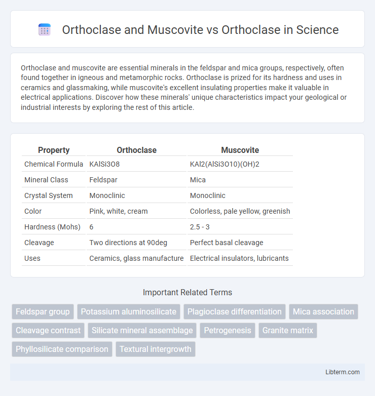 Orthoclase vs Orthoclase and Muscovite in Science - What is The Difference?