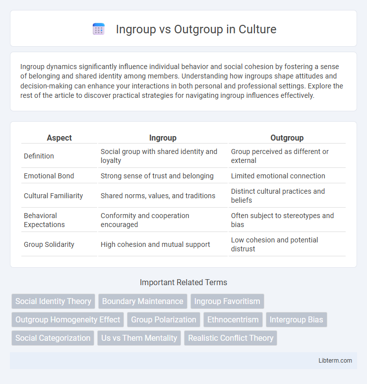 Outgroup vs Ingroup in Culture - What is The Difference?